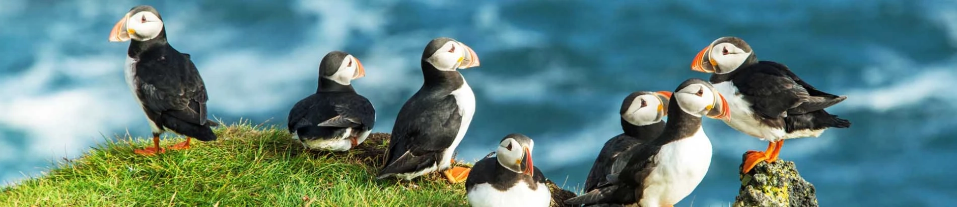 L'Islande en été