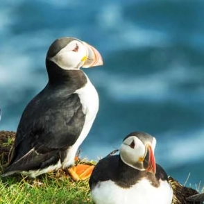 L'Islande en été