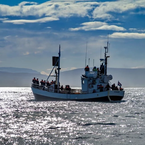 Un bateau au large d'Husavik
