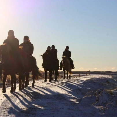 Balade équestre à Eldheistar près de Hveragerdi