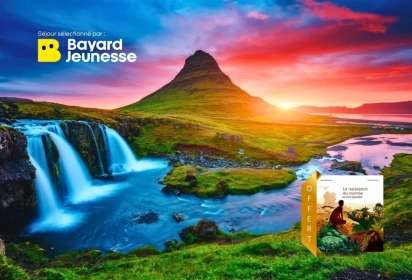 Graines de vikings islandais