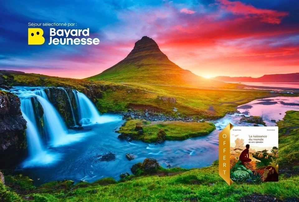 Graines de vikings islandais