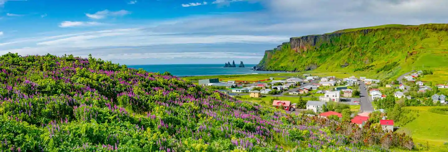 Mes premiers pas en Islande : le Sud estival